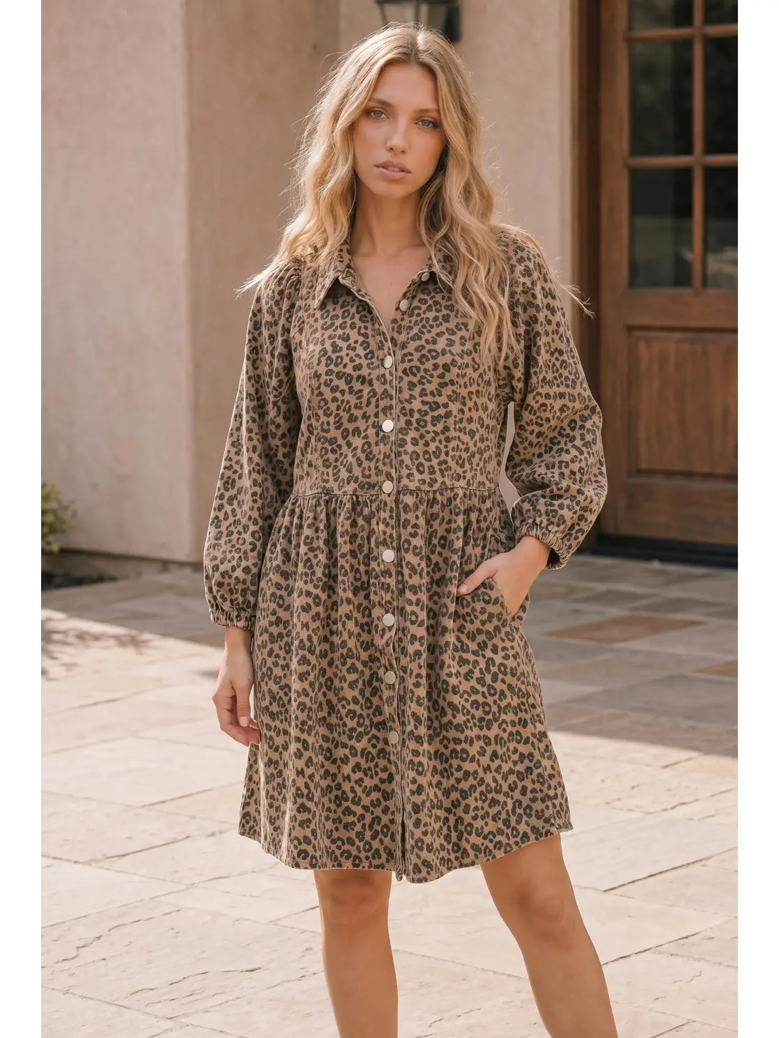 Cheetah Dress